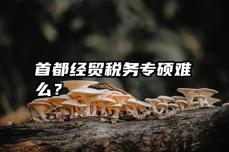 首都经贸税务专硕难么？