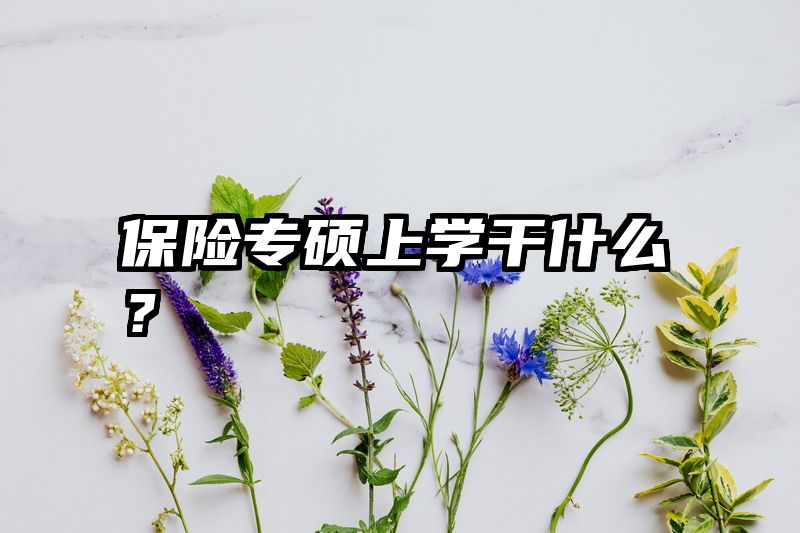 保险专硕上学干什么?