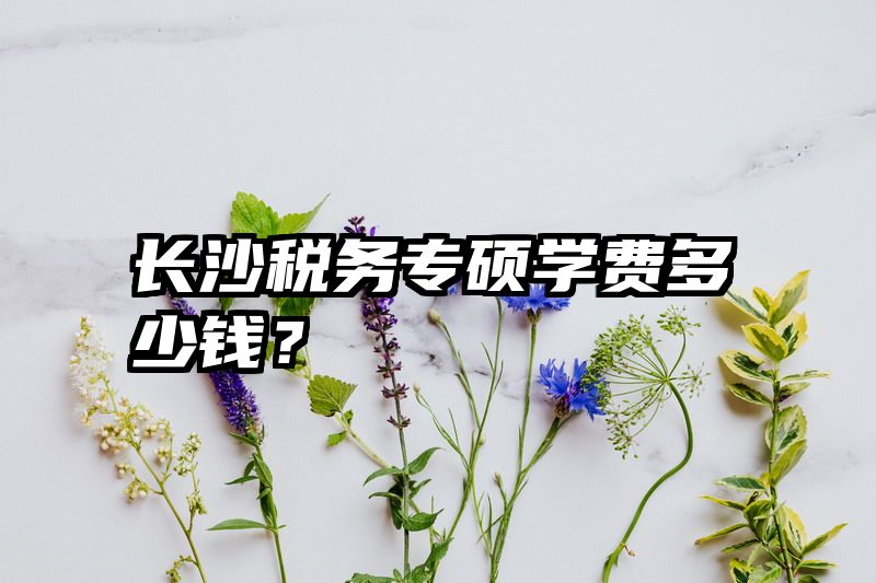 长沙税务专硕学费多少钱？