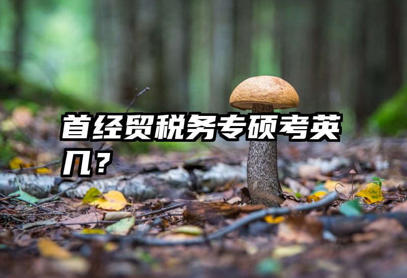 首经贸税务专硕考英几？