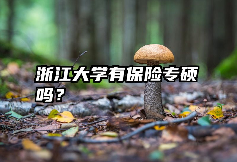 浙江大学有保险专硕吗？