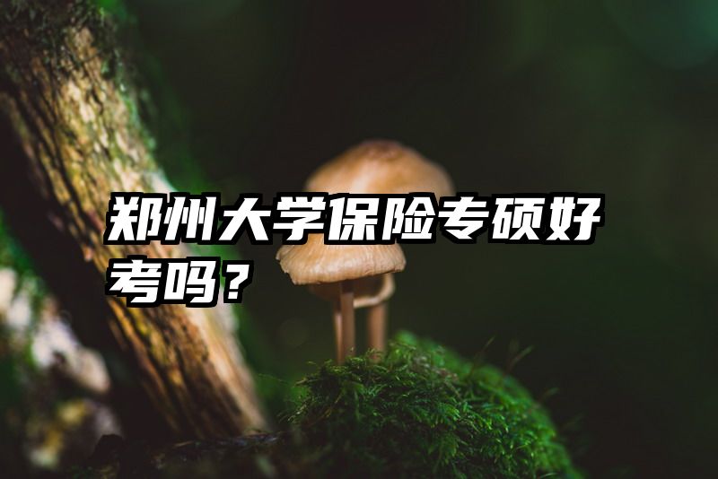 郑州大学保险专硕好考吗？