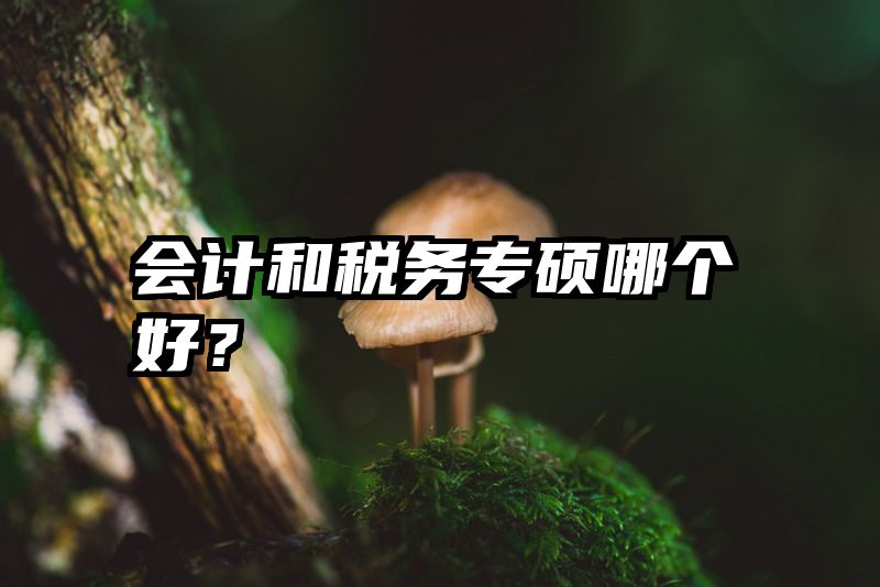 会计和税务专硕哪个好？