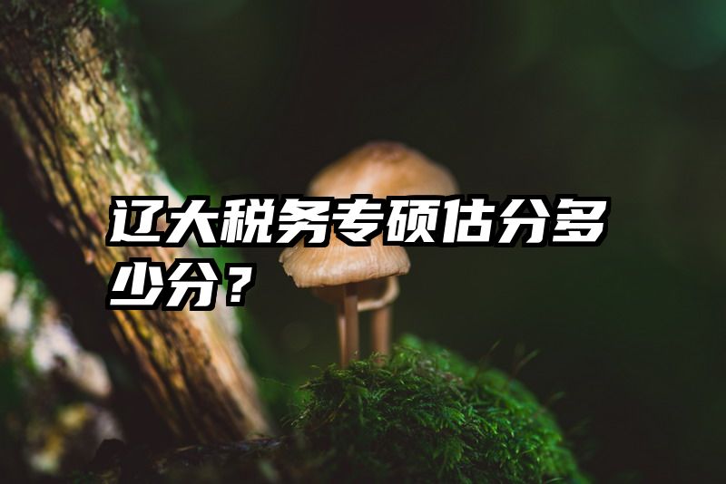 辽大税务专硕估分多少分？