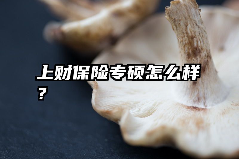 上财保险专硕怎么样？