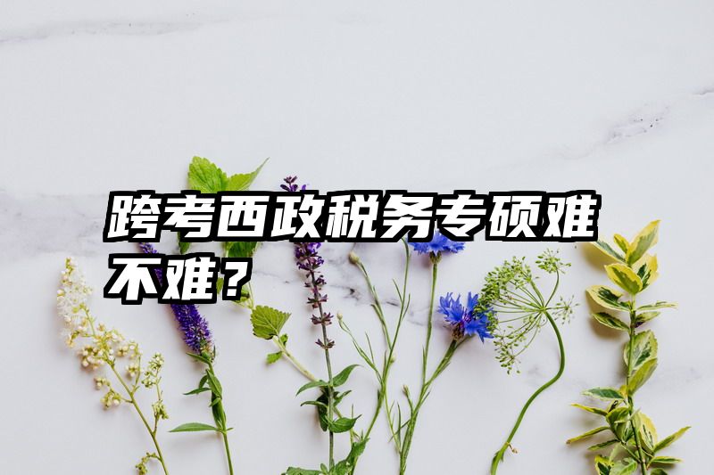 跨考西政税务专硕难不难？