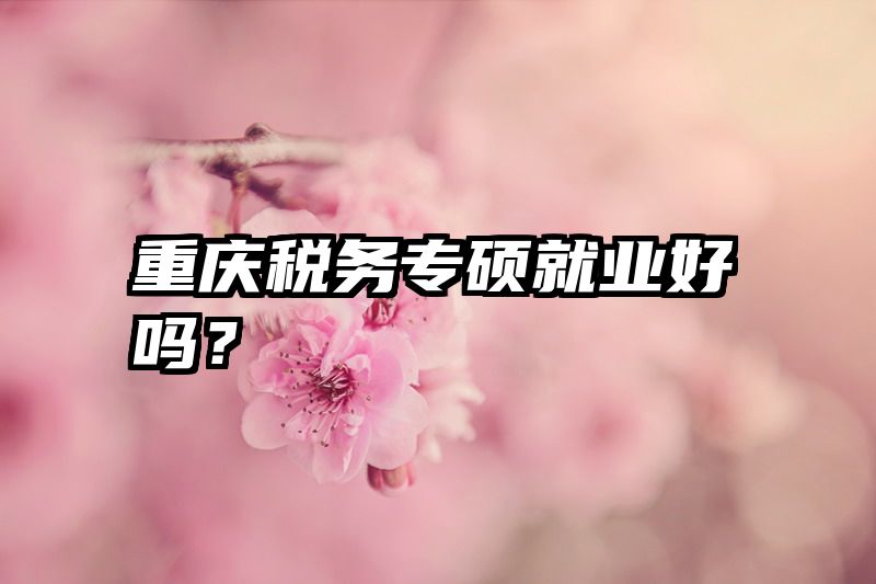 重庆税务专硕就业好吗？