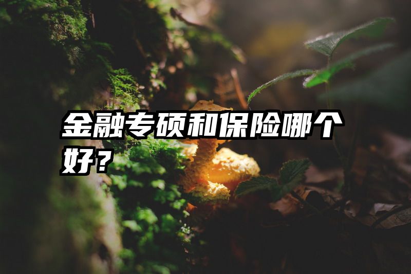 金融专硕和保险哪个好？