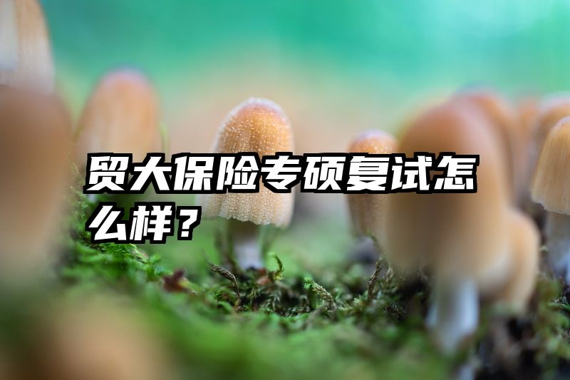 贸大保险专硕复试怎么样？