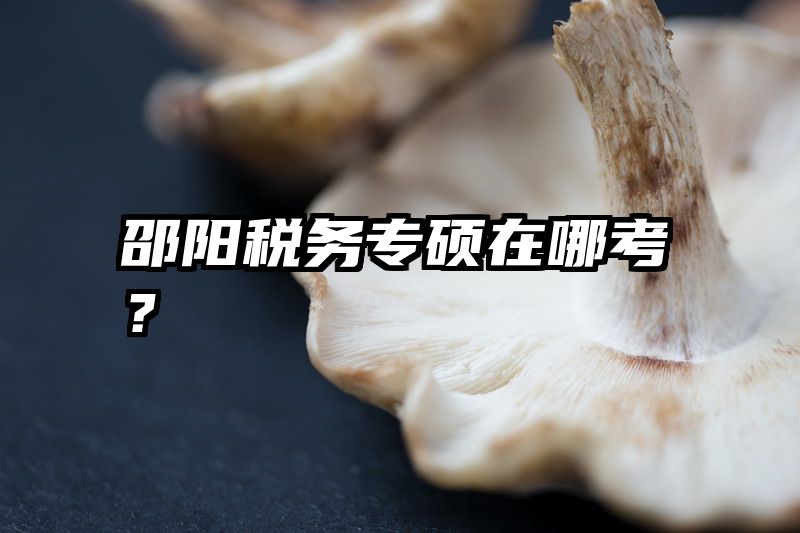 邵阳税务专硕在哪考？