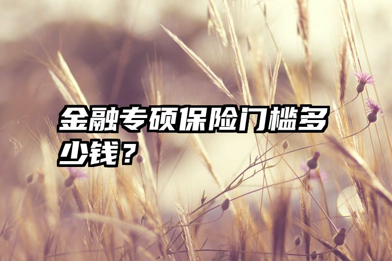 金融专硕保险门槛多少钱?